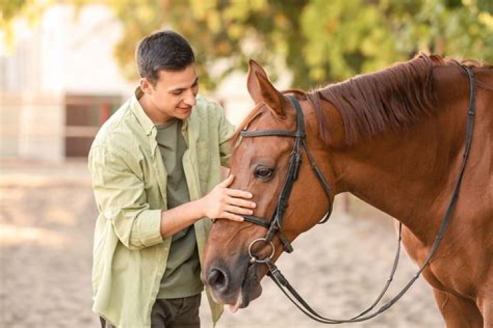Can Horses Smell Menstruation? Understanding Equine Senses