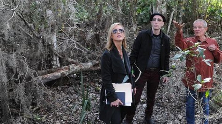 Did Caylee Anthony Have a Nanny? Unpacking the Question