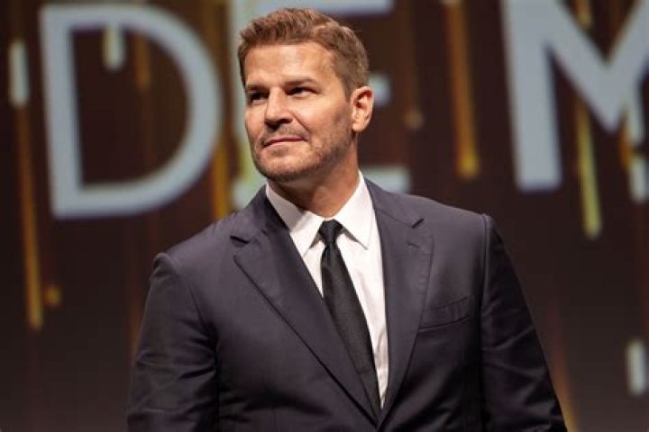 Did David Boreanaz Get Along with Emily? Unpacking On-Screen Chemistry and Real-Life Bonds