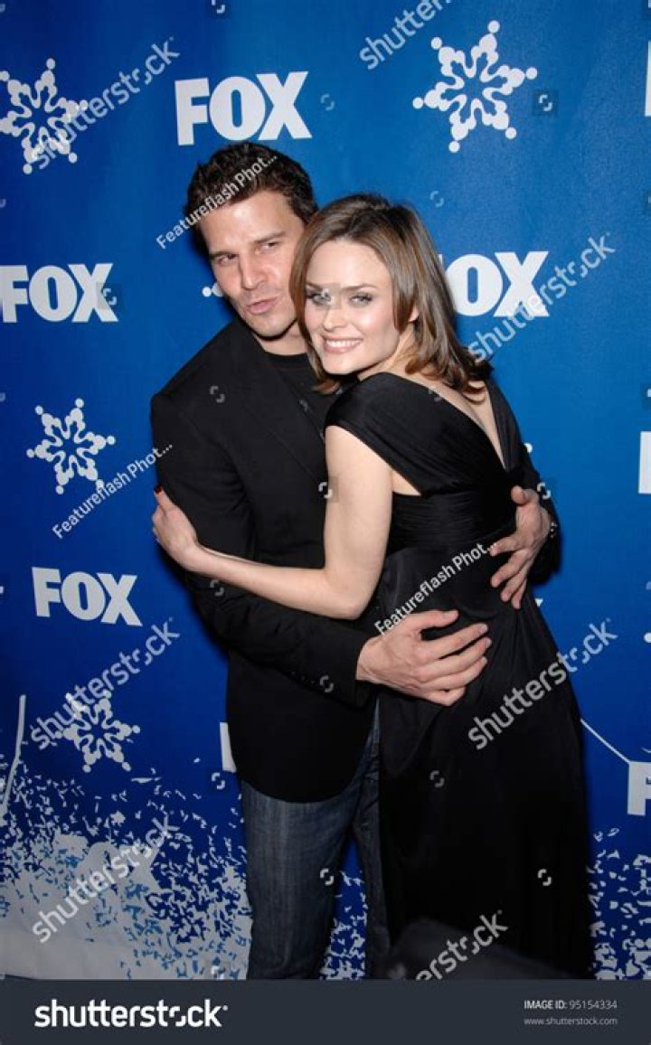 Did Emily Deschanel and David Boreanaz Get Along in Real Life? Unpacking the Chemistry Beyond the Lab