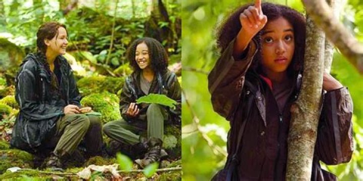 Did Rue and Jules Sleep Together? Exploring Connection and Identity in Storytelling