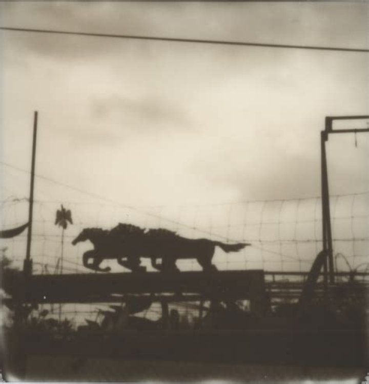 Discovering Susan Mikula Art: A Look at Her Visionary Work