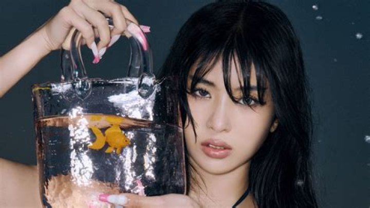 Does Maria Bartiromo Look Like Sophia Loren? Unpacking the Resemblance