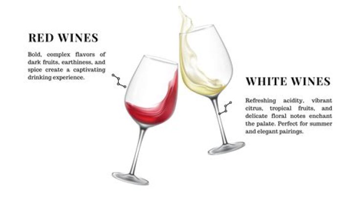 Exploring Red Wine vs White Wine Effects: What You Should Know Today