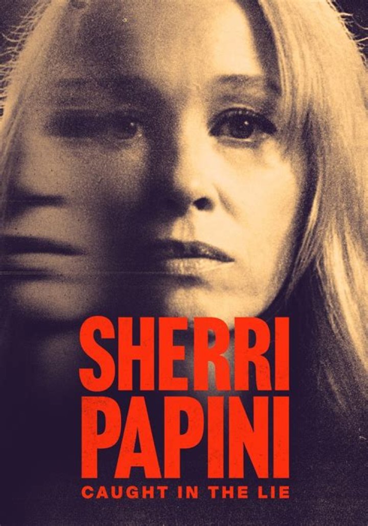 Exploring the Sherri Papini Book: Unpacking a Captivating Story