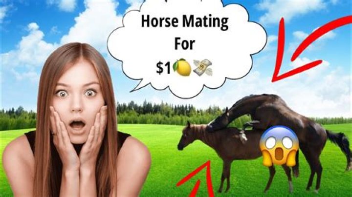 Horse Mating Meaning: What Every Owner Should Know