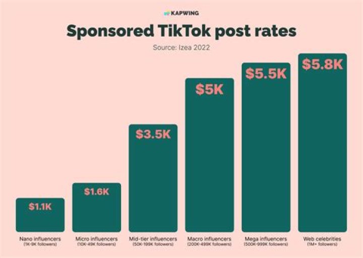 How Many Followers Has Anna Paul Lost On Tiktok?