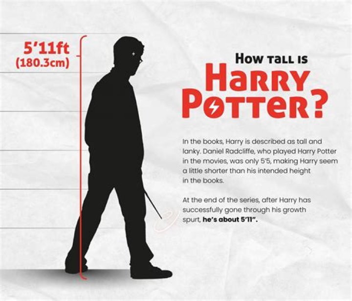 How Tall is Harry Bosch? Unpacking the Stature of a Fictional Icon