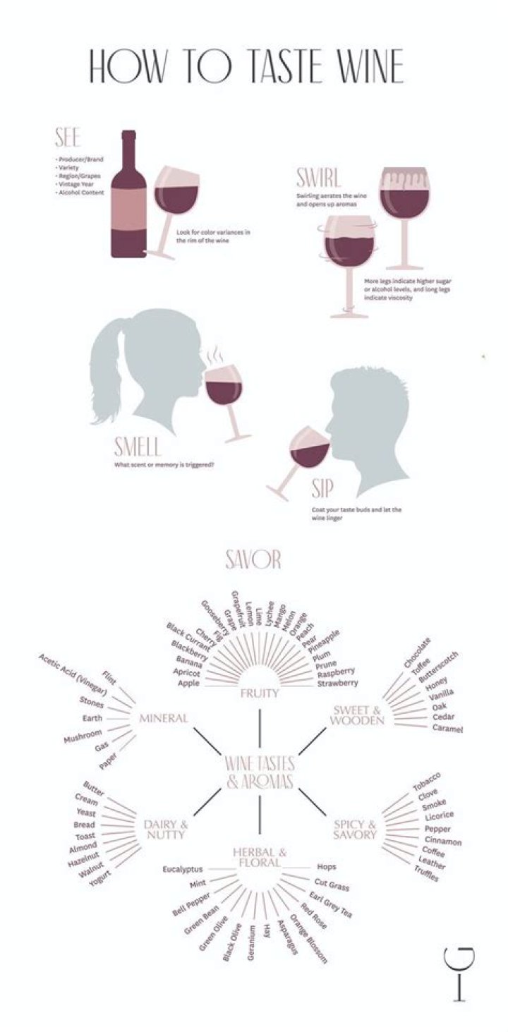 How to Drink Wine Properly: Simple Steps for a Better Sip
