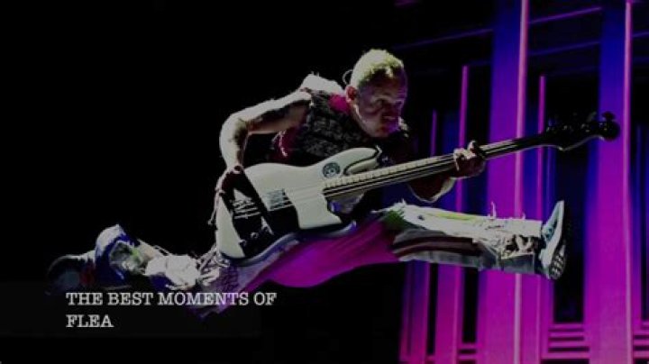 Is Flea from RHCP Sober? A Look at the Musician and the Facts About Fleas