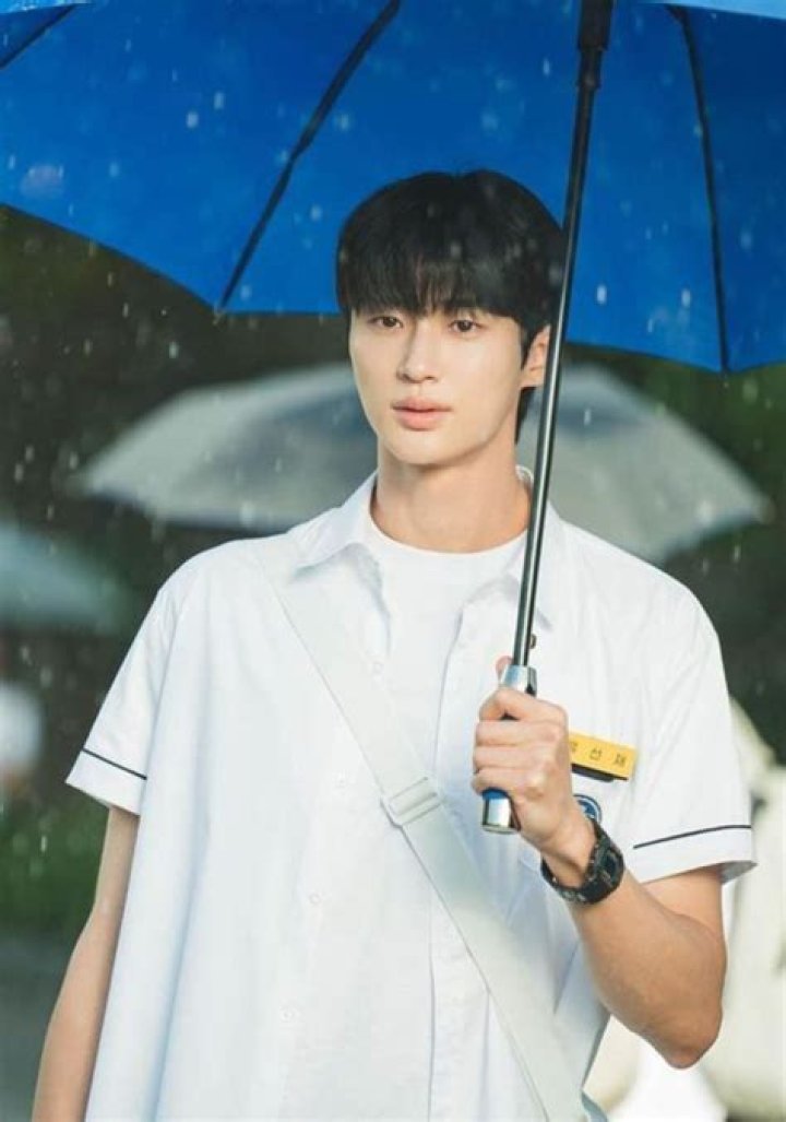 What are the Struggles of Byeon Woo Seok?