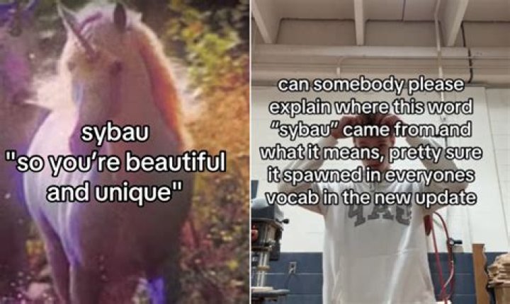 What Does "Snow Bunny" Mean on TikTok? Unpacking the Viral Slang Term
