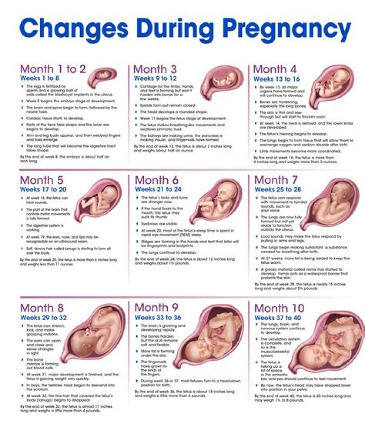 What Happens to Fiona's Pregnancy? Unpacking Life's Big Questions