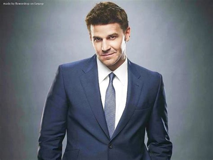 What is Seeley Booth's Real Name? Unpacking the Identity of a Beloved Character