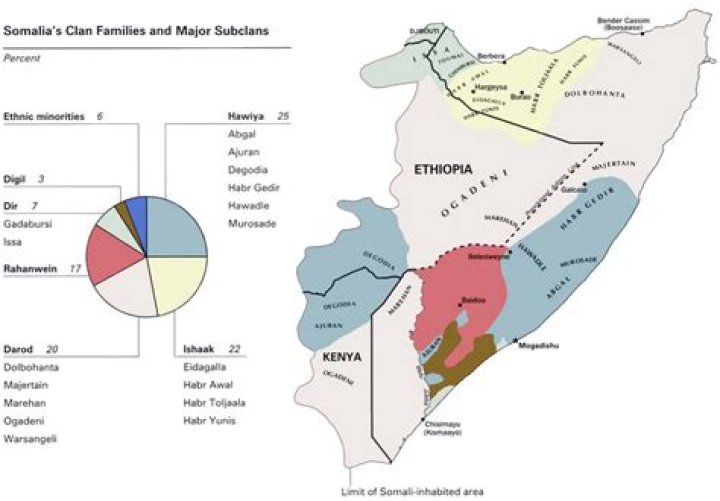 What is the Largest Clan Family in the Somali?