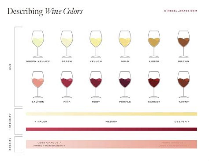 What is the White Version of Red Wine? Unraveling Wine's Colorful Truths