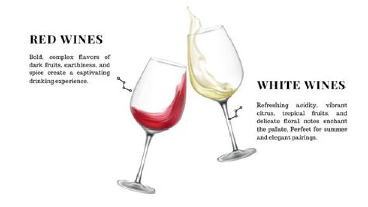 White Wine vs Red Wine Taste: Unpacking the Flavor Differences