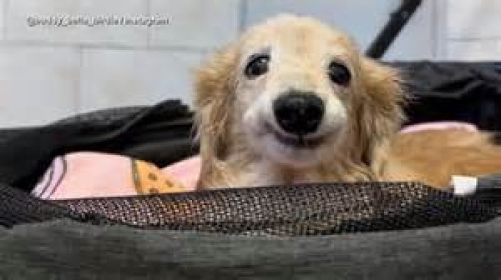 Who Owns Dukes Alehouse? Uncovering the People Behind Your Favorite Local Spots