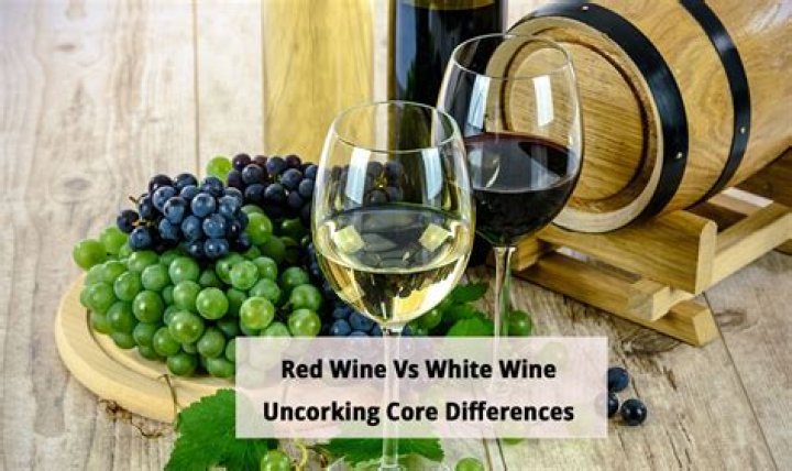 Why Do People Prefer Red or White Wine? Uncorking the Reasons Behind Your Choice